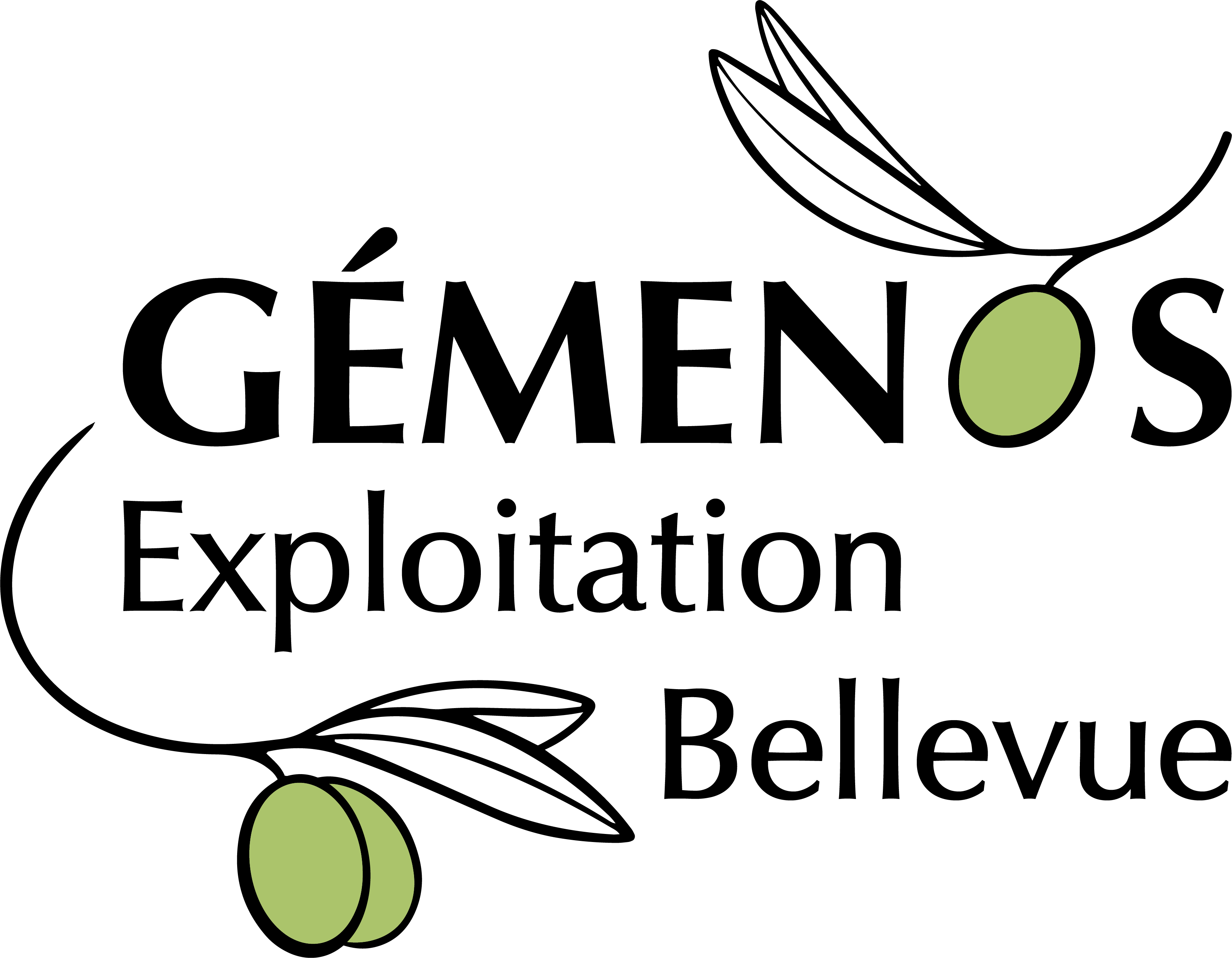 Exploitation Bellevue